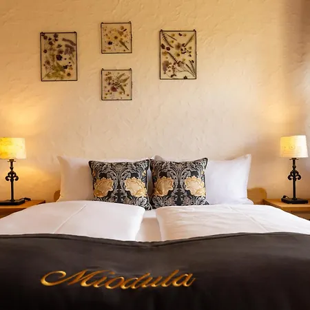Villa Miodula Bed & Breakfast